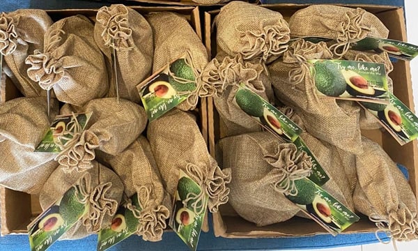box avo